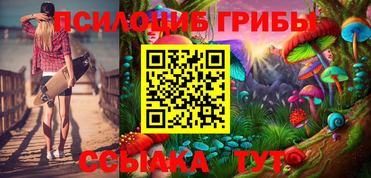Псилоцибиновые грибы Cubensis Нижний Новгород